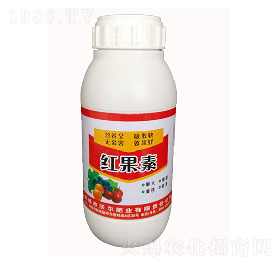 �t����-�֠��ʘI(y��)