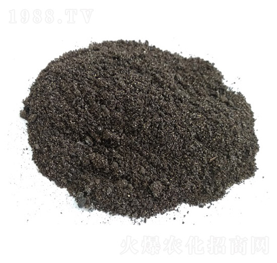 �㽶���������ЙC(j��)��-��ꖿƼ�