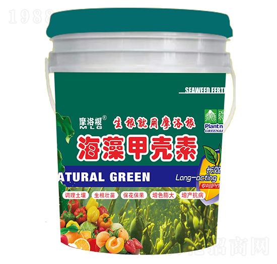 ����ך���-Ħ���-���A����