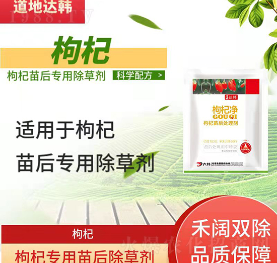 ��轳��݄�-������-��轌�(zhu��n)��-���n