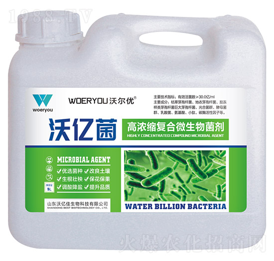 �ߝ�s�ͺ�΢�������-�փ|��-�֠���(y��u)