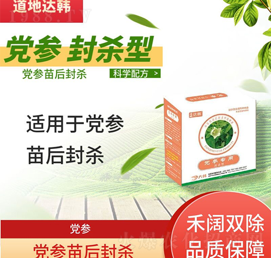 �h�����݄�-�h�����-�h����(zhu��n)��-���n