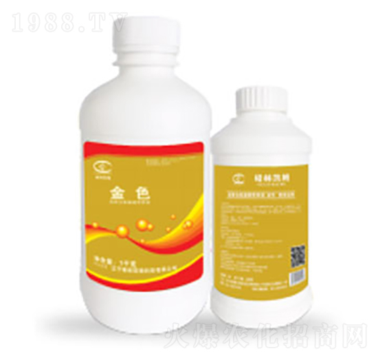 ��ɫ������I(y��ng)�B(y��ng)Һ-���քPķ