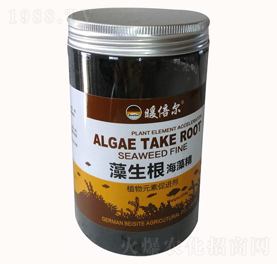 ���������徫-�����