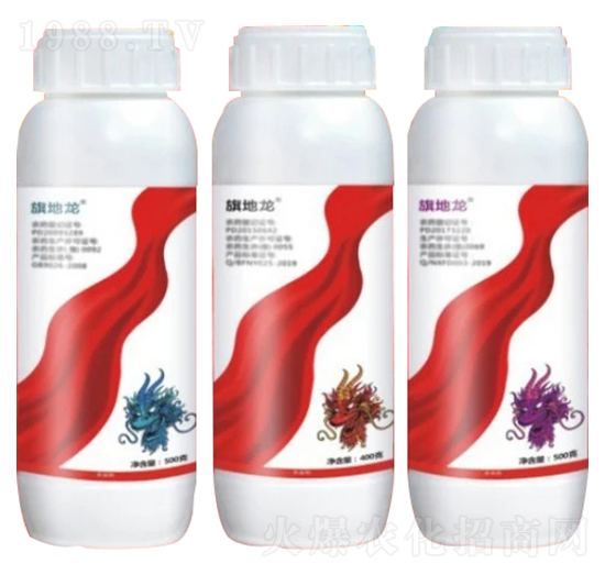 ����������M�ϣ�-��֮��