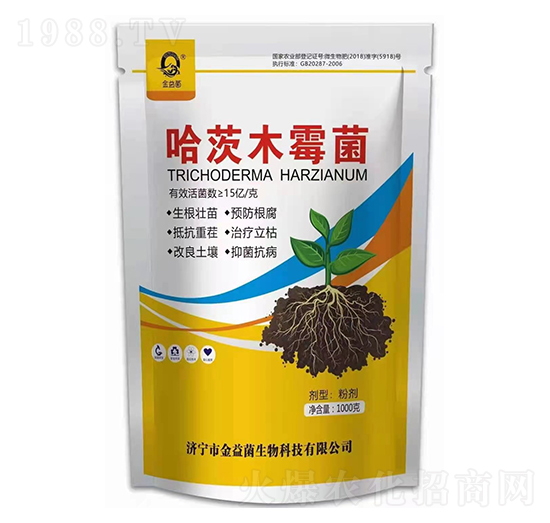 ����ľù��-�����-��ɽ����