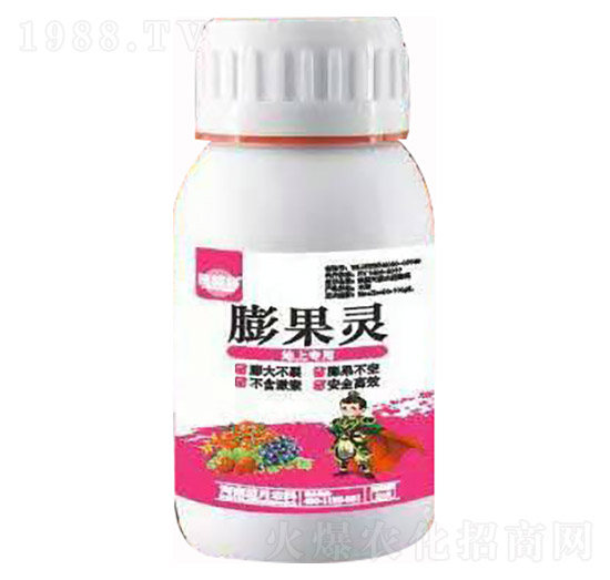 ���ό��� ����` �ڌ� �{(l��n)���r(n��ng)��