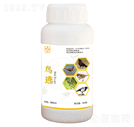 �B�� ������