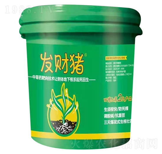 ΢������� �l(f��)ؔ�i �ﲩʿ