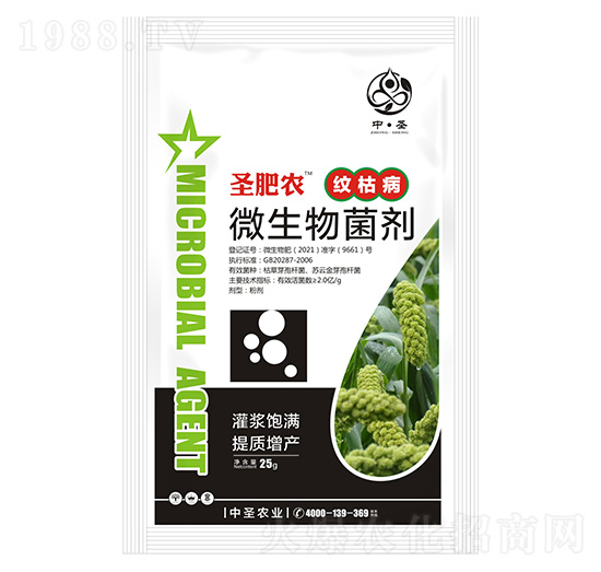 �y�ݲ�����΢�������-ʥ���r-��ʥ�r�I(y��)