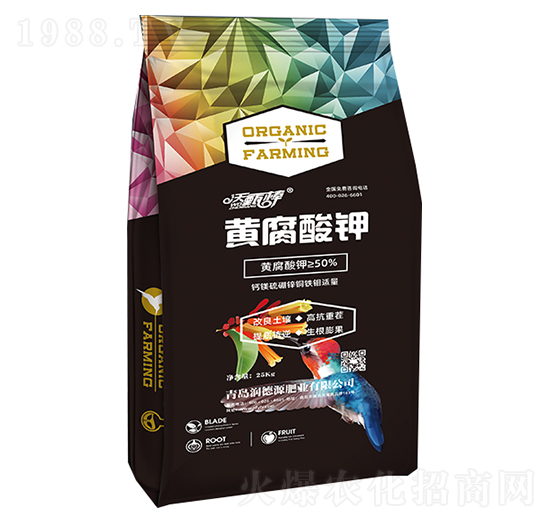 �S�����-�����-����Դ�ʘI(y��)