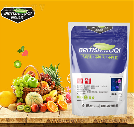 ����-Ӣ������