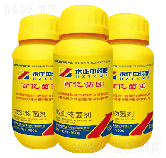 ΢�������-�ك|���F-�еº���