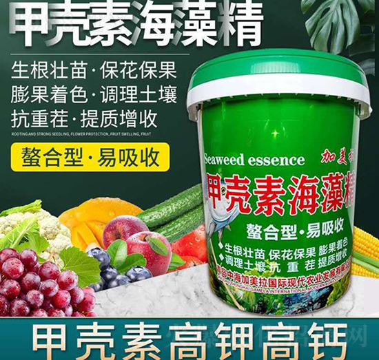 �׿��غ��徫-������