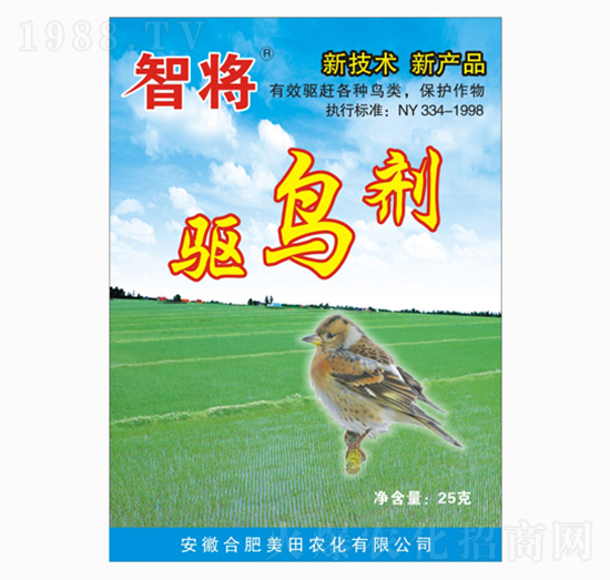 ��B��-�ǌ�-�����r(n��ng)�I(y��)