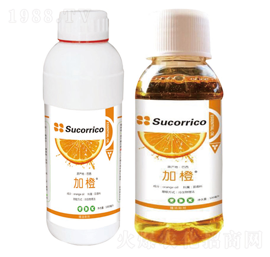 �ӳȾ���-�A��