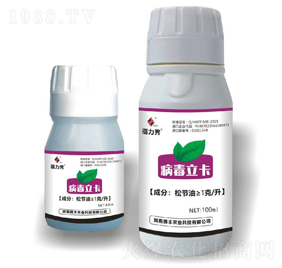 ��������-������-�v�S�r�I(y��)