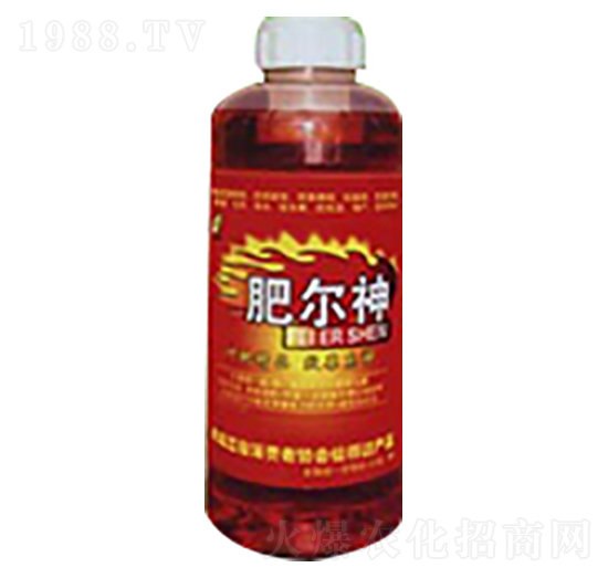 �ʠ����~���-ʿ�ֿƼ�