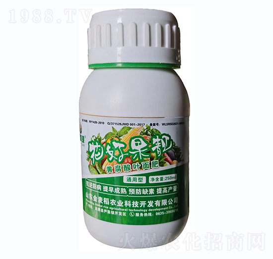 ���ù��n�S�����~���-������