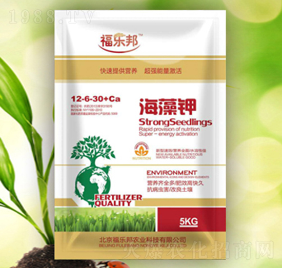 �����-����(l��)��