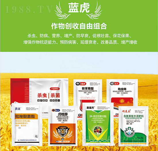 ���(chu��ng)�����ɽM��-�{(l��n)��Ʒ��