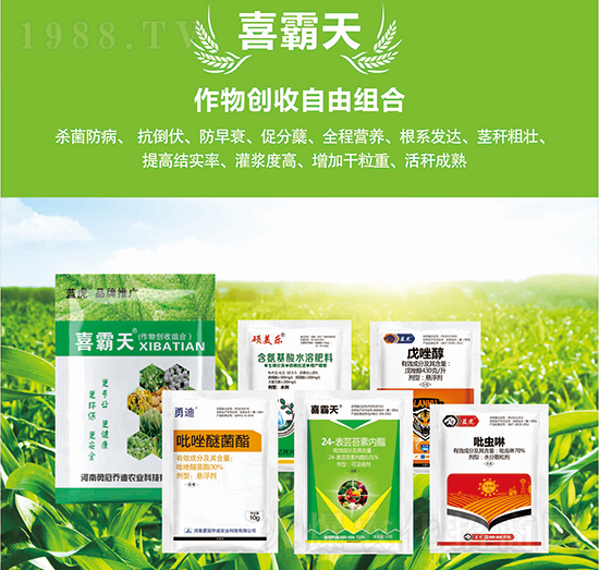 ���ׄ�(chu��ng)�����ɽM��-�{(l��n)��Ʒ��