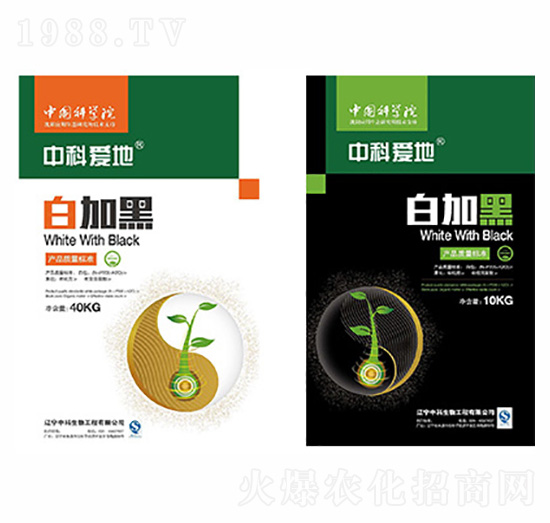 �пƐ�(��i)�ذ׼Ӻ�ϵ���ײͷ�-�п�