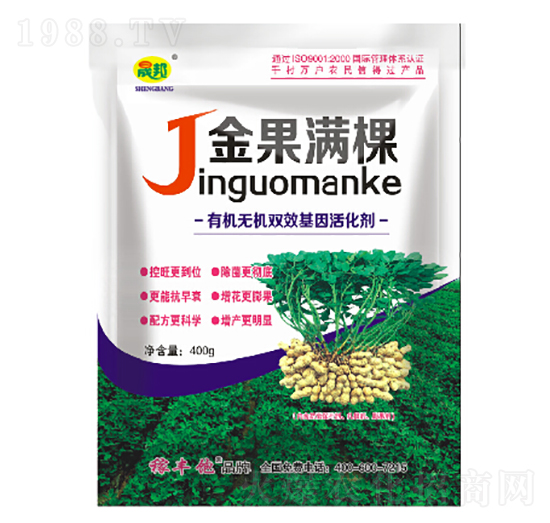 ����M��-�ɰ�����