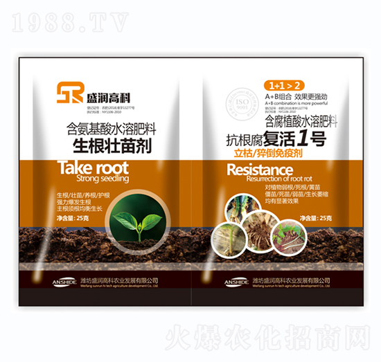 �������焩+�������ͻ�1̖-ʢ���߿�