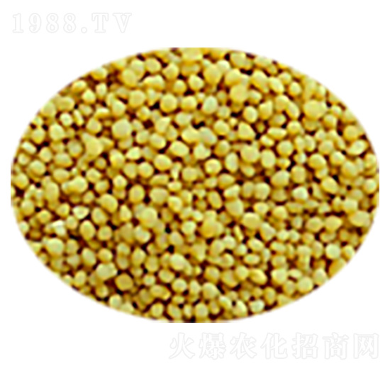 ������@�w��-ِ���طʘI(y��)