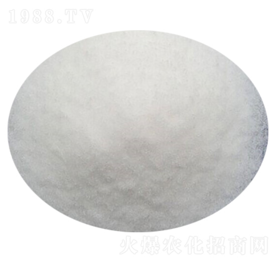 �����13-0-46-����˹