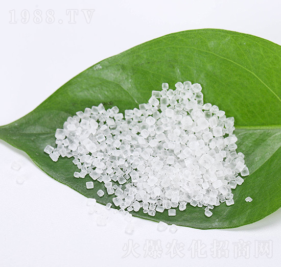 ����(n��i)���������@-�������B(t��i)