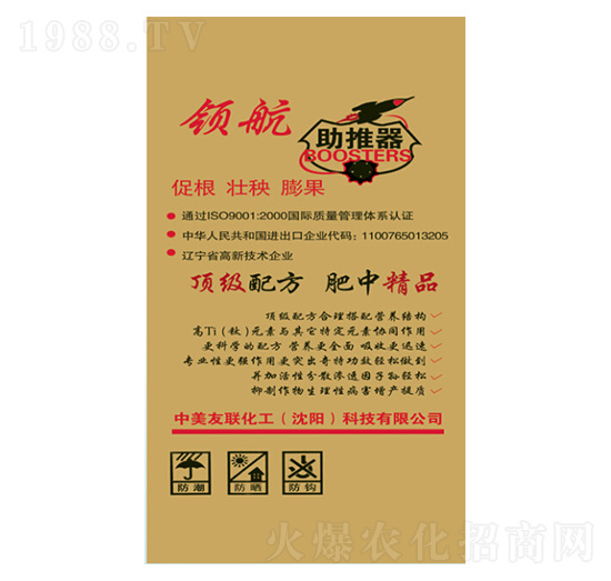 �I(l��ng)��������-��(r��n)�����