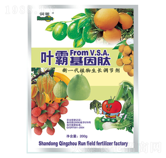 �~�Ի�����-�������