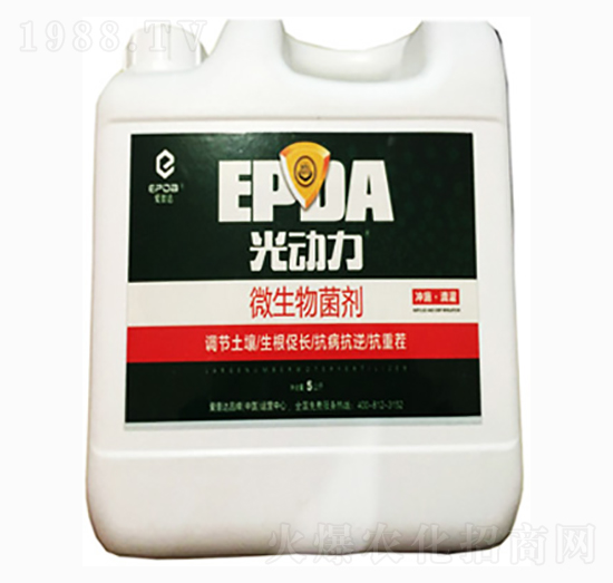 �����΢�������-�����_(d��)