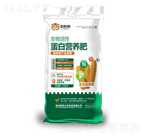 ������Ե��נI(y��ng)�B(y��ng)�ʣ�������ã�-�S�Ɓ�-������