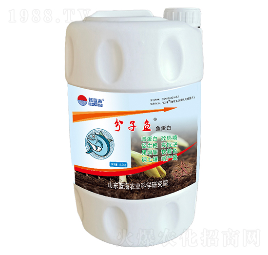 �����~(y��)�~(y��)����-�{(l��n)��