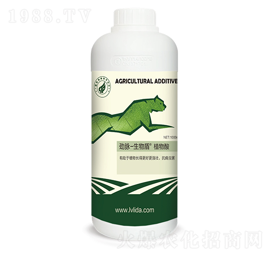 ����ܡ�ֲ����-���}