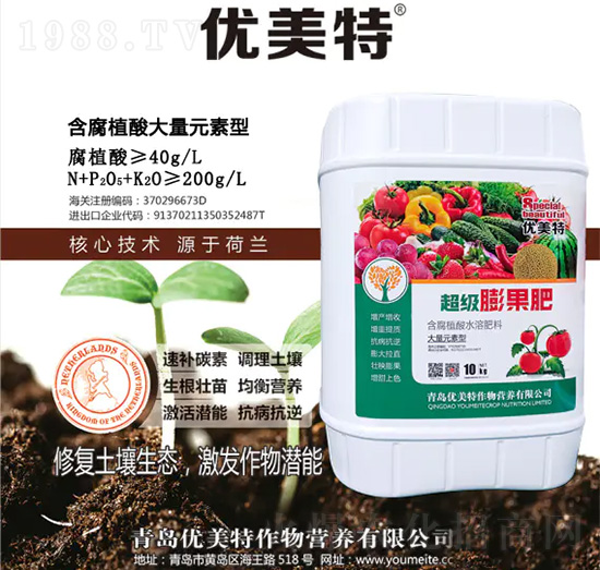 ����ֲ��ˮ�ܷ���-�����-��(y��u)����