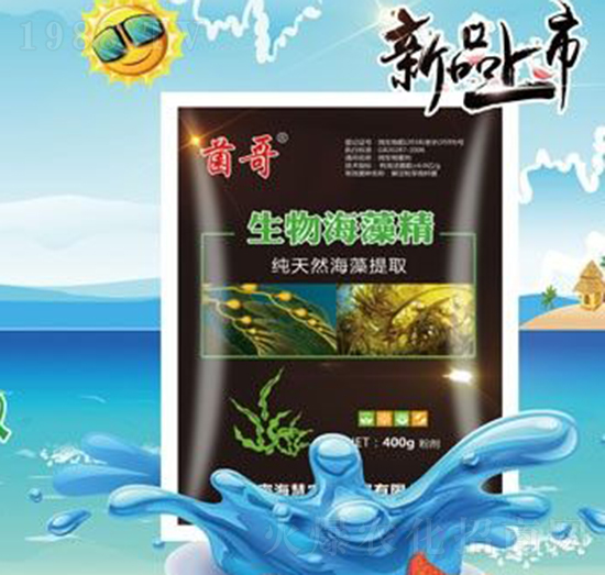 ���ﺣ�徫-����