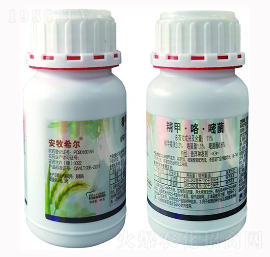 11%���ס������׾�-�d���r�I(y��)