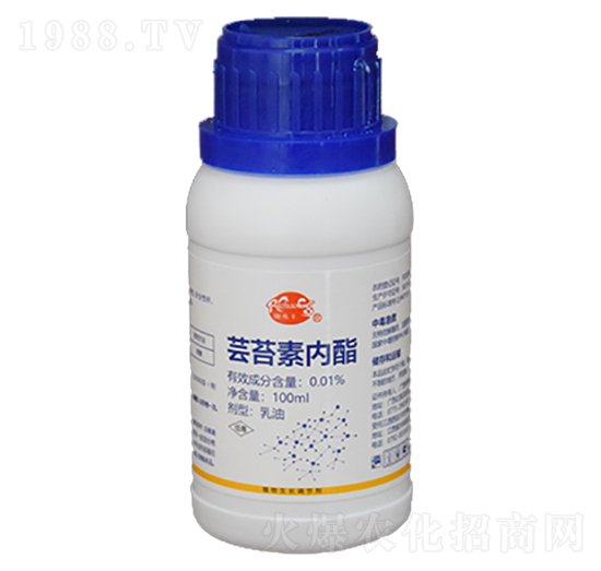 �|̦�؃���-�����S