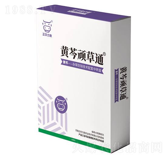 �S���B��ͨ-���A����