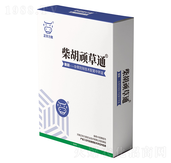 ����B��ͨ-���A����