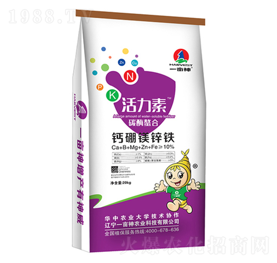 �������}���V�\�F-һ����