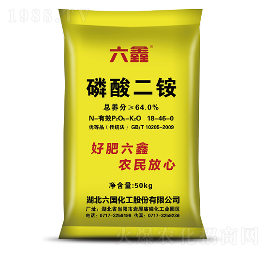 ������@-����-��������