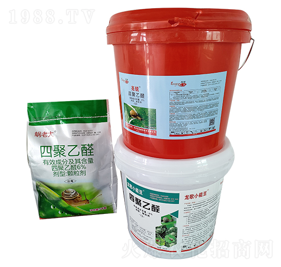 �ľ���ȩ�M��-����ֲ��