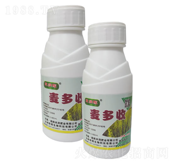 ������-�̝�(r��n)�ʘI(y��)