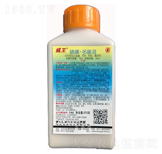 50%��ǡ�����`�Ҹ���-����-�p������