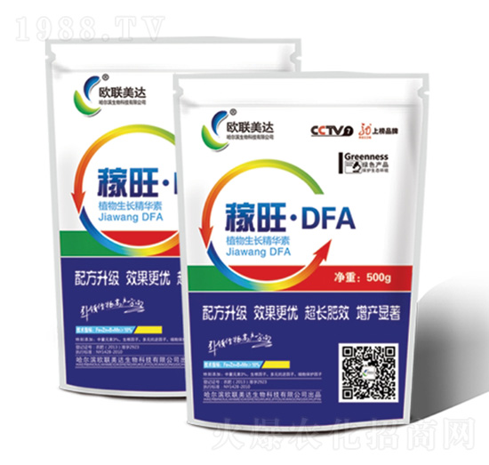 ������DFA-�W���_